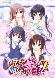 Onii-chan, Asa made Zutto Gyutte Shite!: Temporada 1
