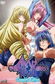 Custom Reido Todos os Episodios Online