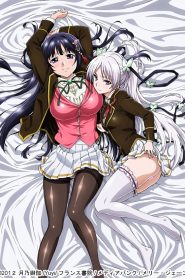 Ojou-sama Yomeiri Kousou! Todos os Episodios Online