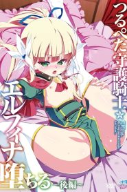 Tsurupeta Shugo Kishi Elfina Ochiru Todos os Episodios Online