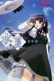 Wet Summer Days Temporada 1