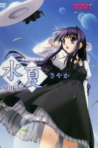 Wet Summer Days Temporada 1