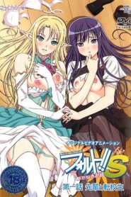 フォルト!!: Temporada 2