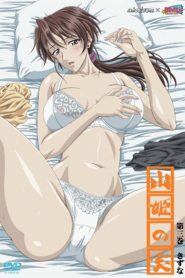 Yama Hime no Mi Todos os Episodios Online
