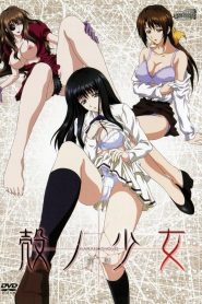 Kara no Shoujo Todos os Episodios Online