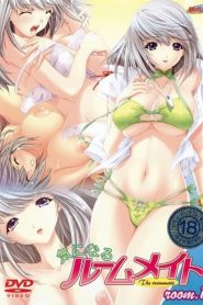 Kininaru Roommate Temporada 1