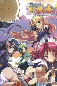 Oshiete Re: Maid Todos os Episodios Online